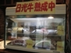 �ܹ��ˡ������⸶���פΥ��ơ���Ź�������������פ�29�����