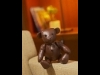���ȥ�󥰥��ۥƥ�������󥿡�������ͥ󥿥뤬5��ǯ