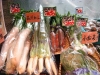 江戸野菜